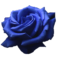 Flor Azul