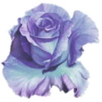 Flor Lil�s