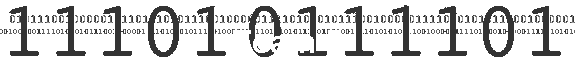 Team 5