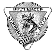 Logo of the American Buttercup Club, showing a Buttercup rooster's head with typical cup-shaped comb and a spangled feather