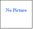 Text Box:  
No Picture
