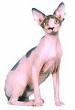 esfinge