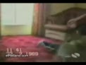 caidas perros