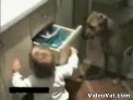 ni&ntilde;o y su perro