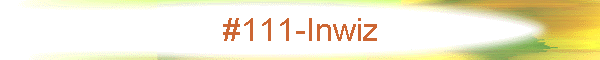 #111-Inwiz