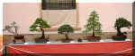 stand_05.jpg (61215 bytes)