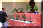 stand_07.jpg (41172 bytes)