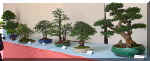 stand_08_a.jpg (69936 bytes)
