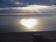 p791_3.jpg