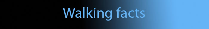 Walkingfacts
