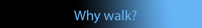 whywalk