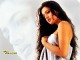 Site Developed By Ashutosh Namdeo