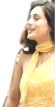 Site Developed By Ashutosh Namdeo