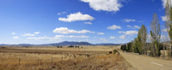 Fields outside Benambra, Victoria, Australia suffering from drought conditions