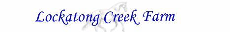 Lockatong Banner