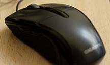 Mouse