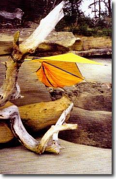Hennessy Hammock