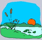 Pond