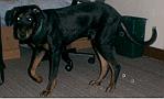 Max