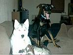 Niko and Max