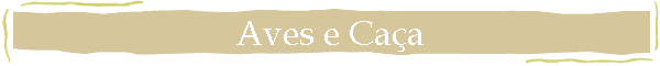 Aves e Ca�a