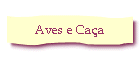 Aves e Ca�a
