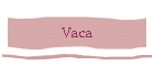 Vaca