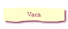 Vaca