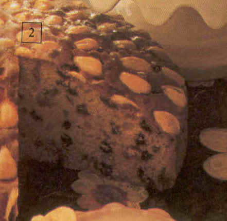 wpe11.jpg (19388 bytes)