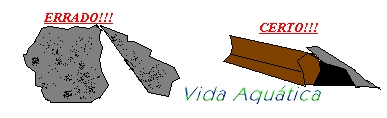 toca.jpg (31319 bytes)