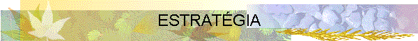 ESTRAT�GIA