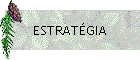 ESTRAT�GIA