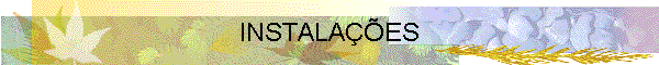 INSTALA��ES