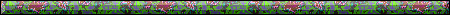 bar0419ad.gif (5639 bytes)