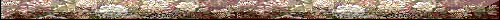 bar0616g.gif (10613 bytes)