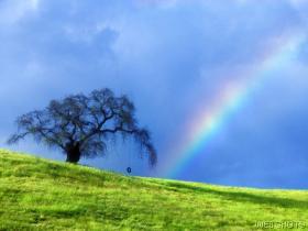 Arco �ris no campo