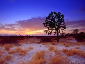 Por do sol no deserto