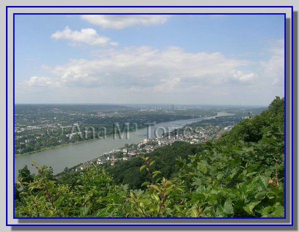 Colonia111.JPG