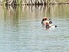 P1070500.JPG