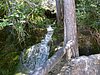 Rio Cuervo