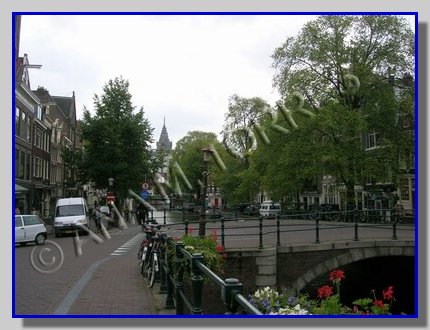 calla amsterdam.jpg