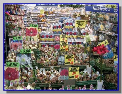 mercado amsterdam.jpg