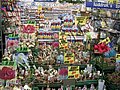mercado amsterdam.jpg
