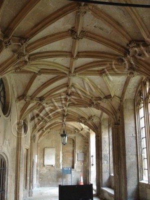 Oxford 3.jpg
