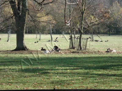 Parque.jpg