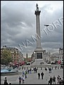 Columna de Nelson.jpg