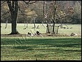 Parque.jpg