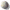 Outdbull1.gif (895 bytes)
