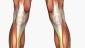 musculo7