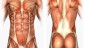 musculo9